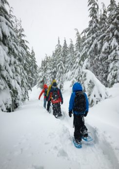 Schneeschuhwandern Steiermark